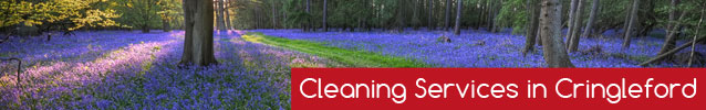 Cleaning-Services-In-Cringleford