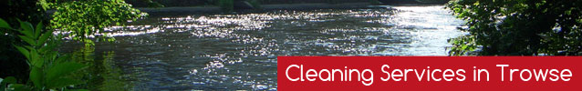 Cleaning-Services-in-Trowse